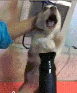 老婆坦白出轨道歉老公回答太硬核,老婆坦白出轨丈夫崩溃