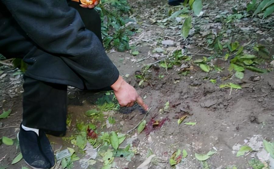 婆婆被害儿媳失踪,婆婆媳妇被杀案