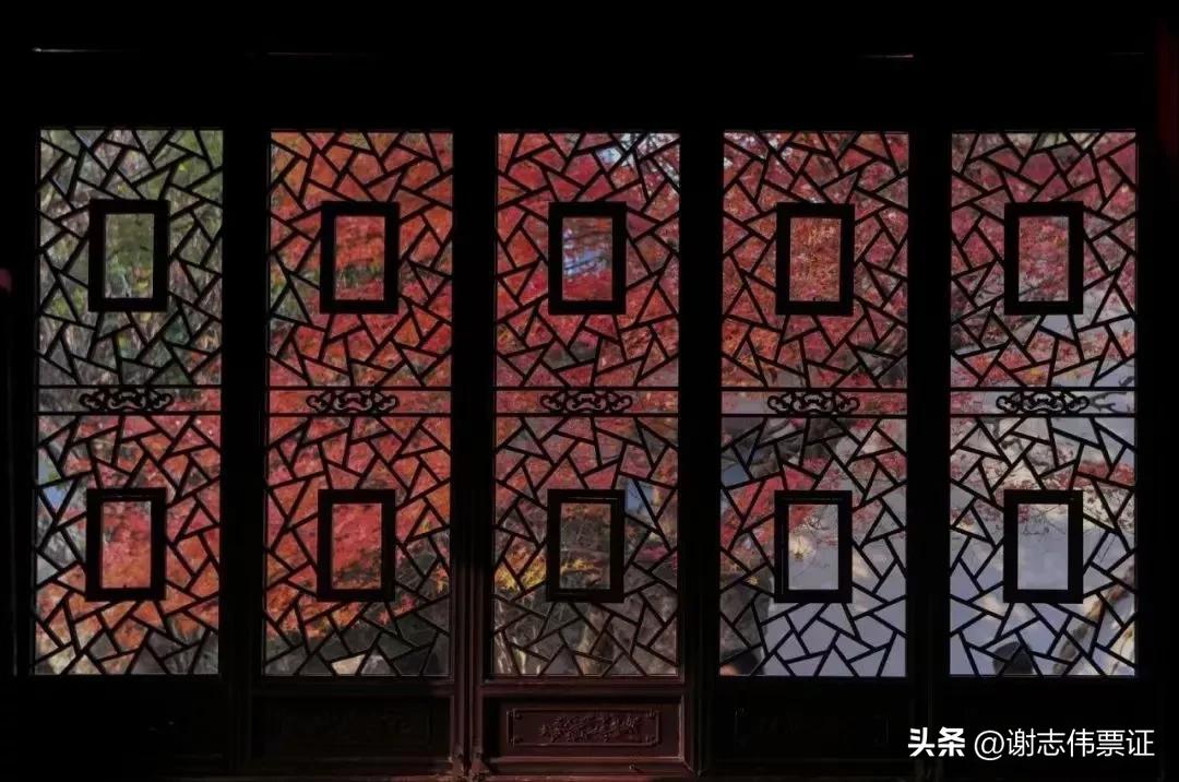 苏州古典园林各个景观特色,苏州园林风景美感极致