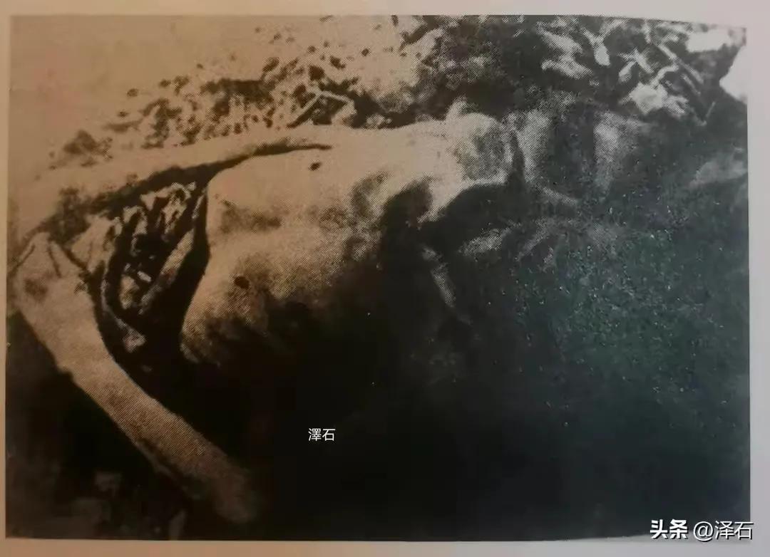 虎林老人两次遭遇鬼子*杀屠**而顽强的活了下来，血泊重生（上）