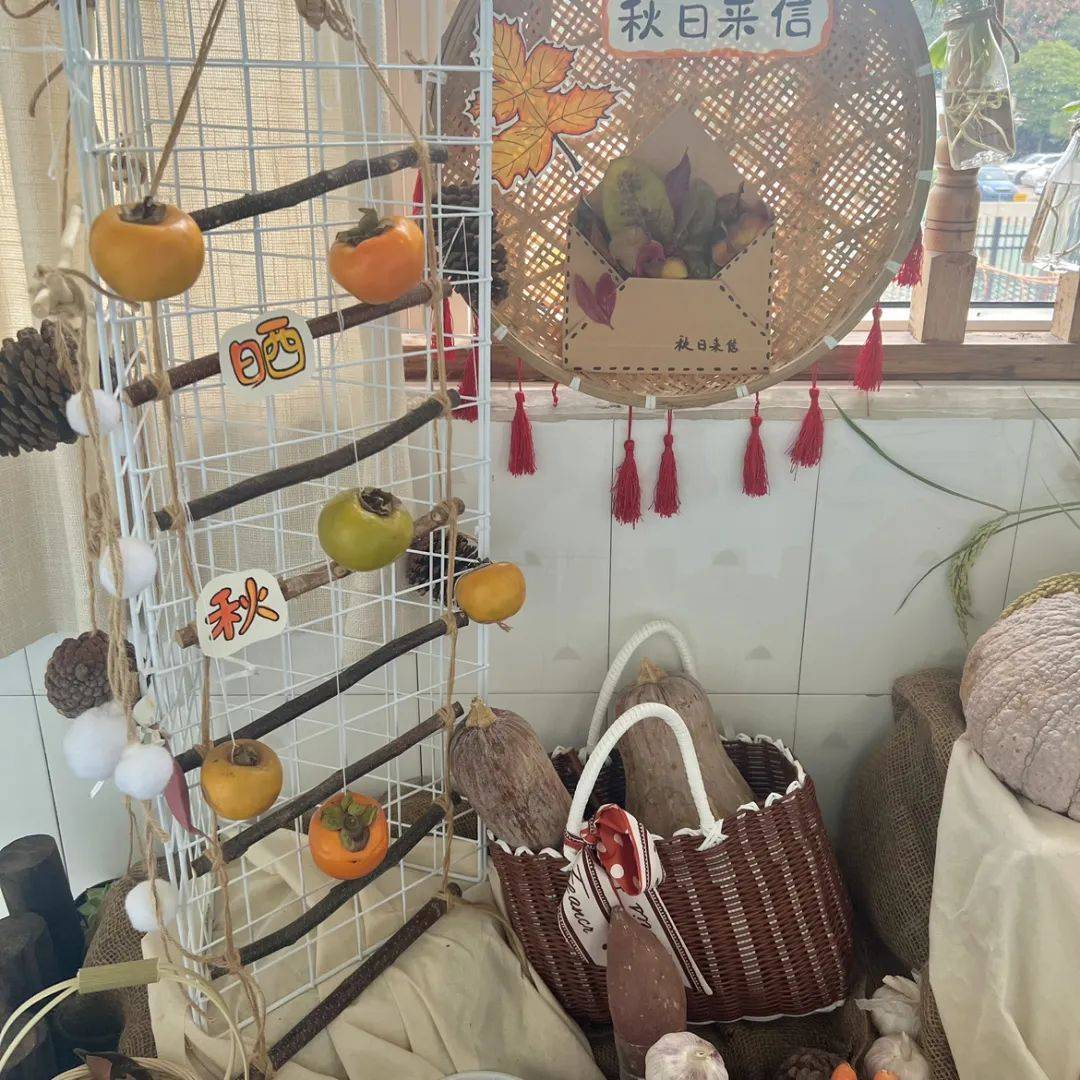 生态环创幼儿园自然角,幼儿园环创自然角实验