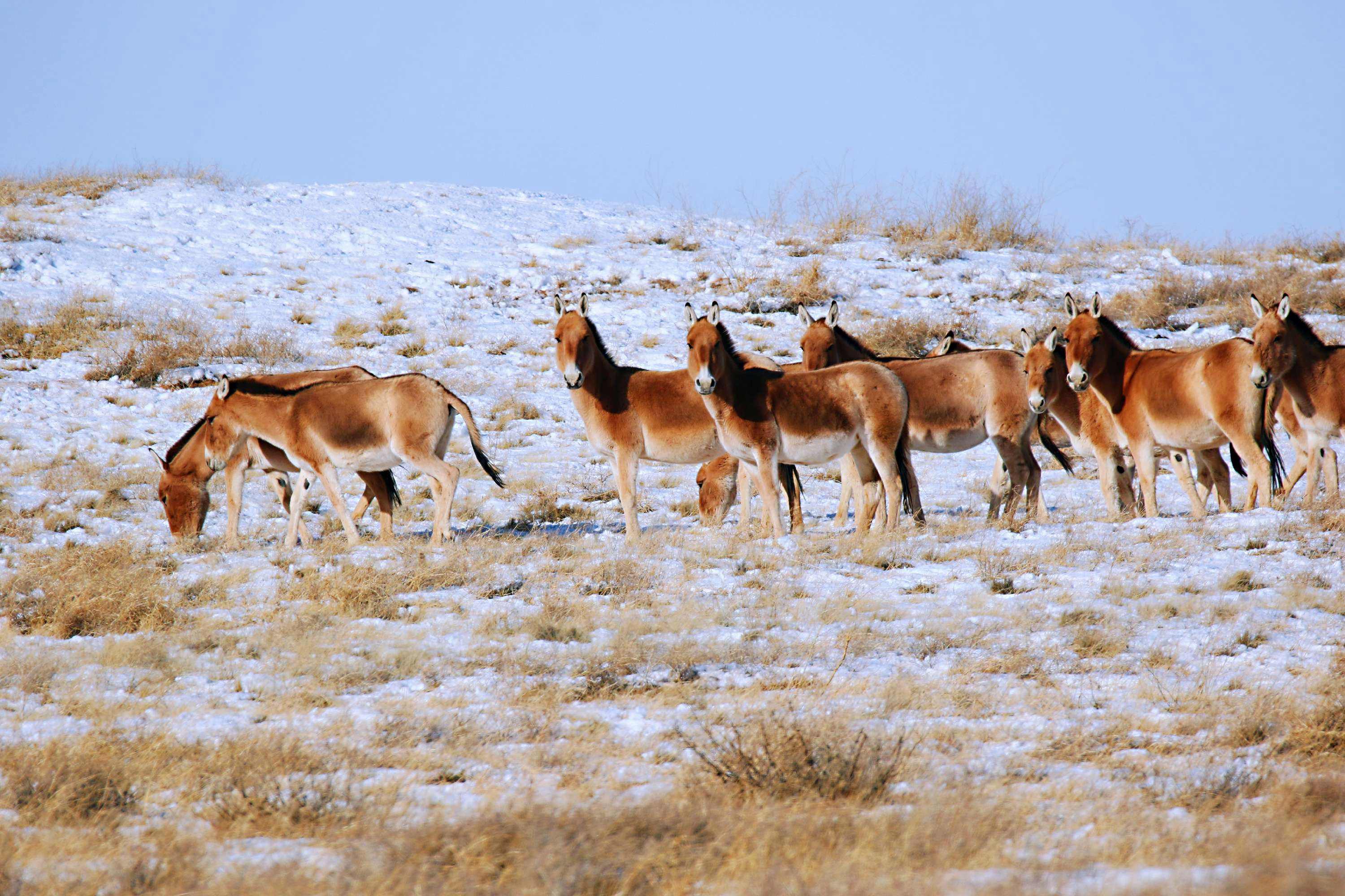 华中华北华南华东怎么区分,华中和华南对比