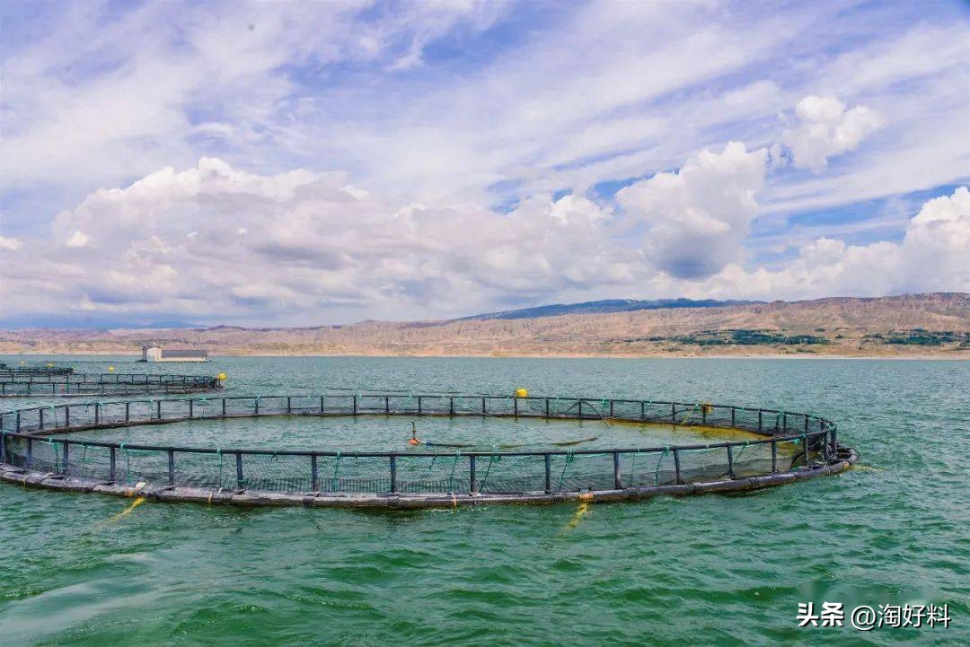 中国现在有多少大型养殖场,全国最大的养殖场排名前十