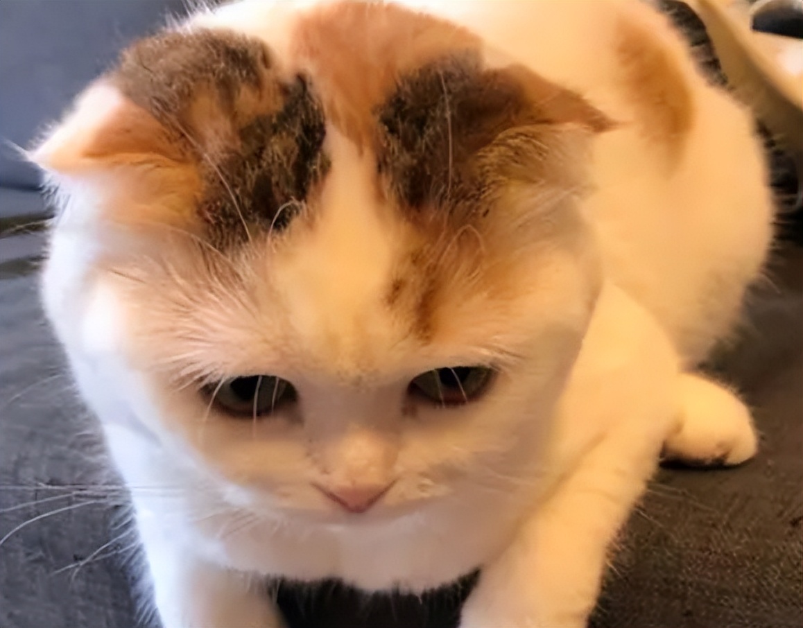 10年的湿疹终于找到了方法,终于摆脱了鼻炎的困扰