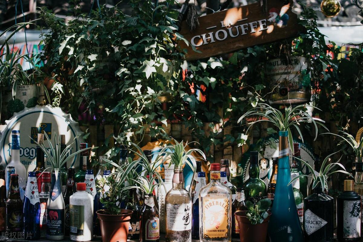 上海十大免费景点推荐嘉定,上海网红打卡地点景点免费