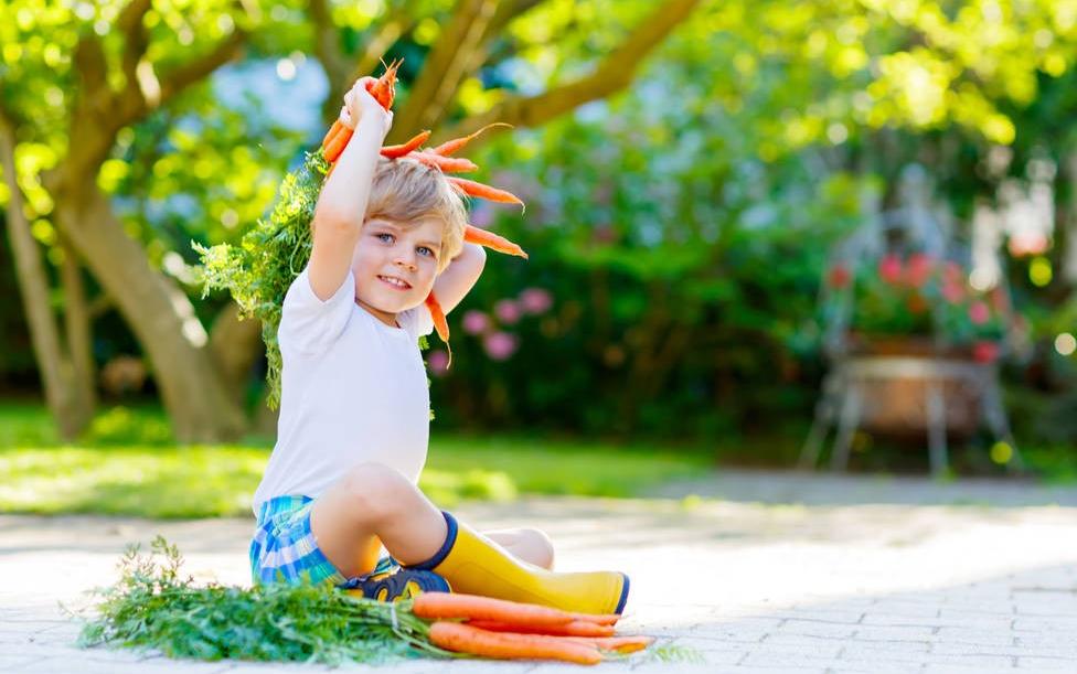 宝宝起名字最简单好听两个字,宝宝起名字大全诗意好听两个字