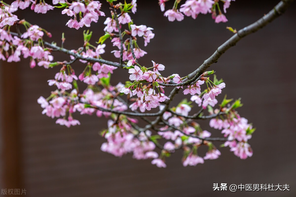 一年四季手脚冰凉男性,一年四季手脚冰凉怎么治疗最有效