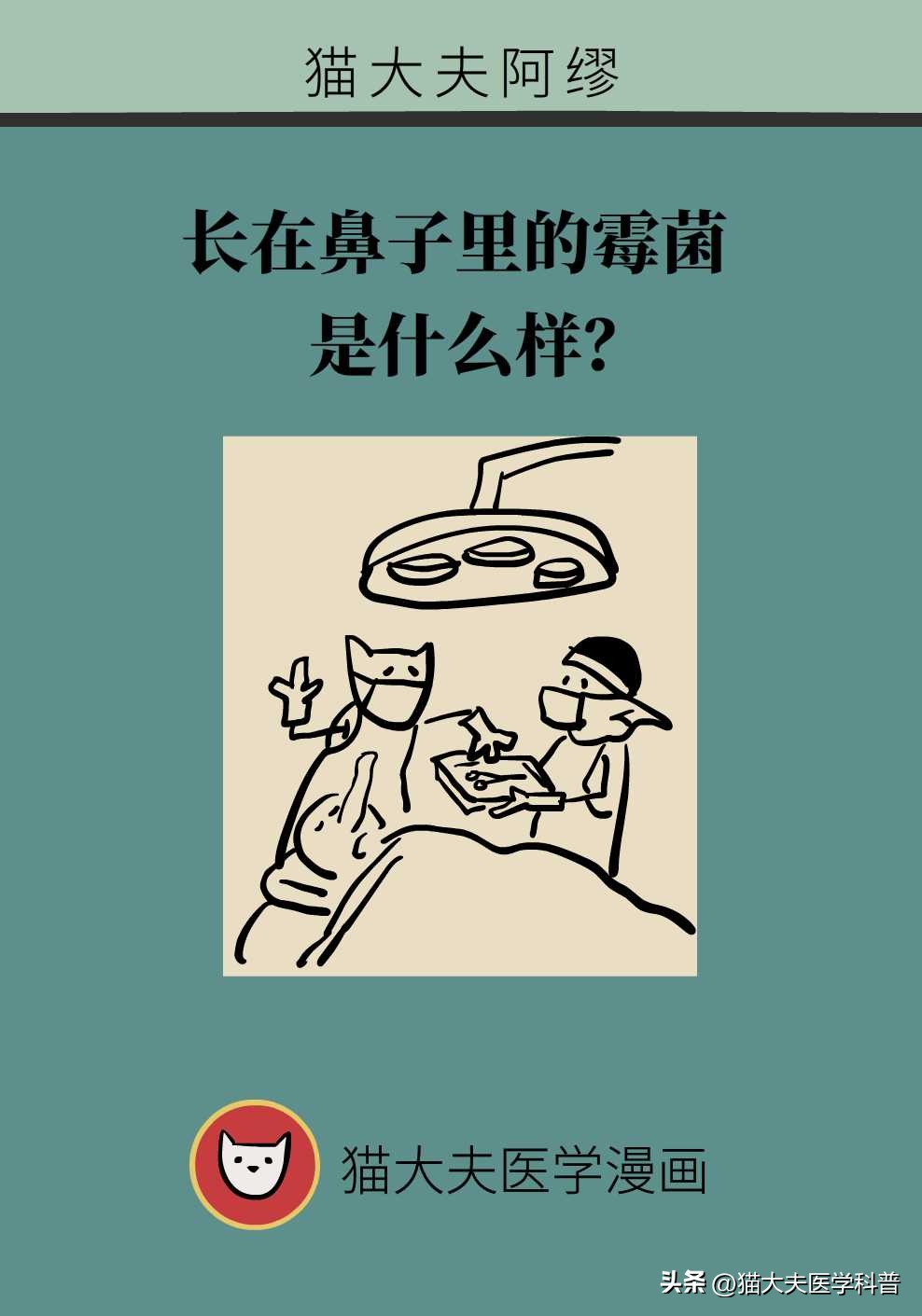 霉菌长什么样,鼻子里的霉菌图片