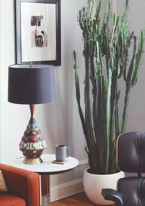 四种镇宅之花,100种镇宅花卉大全