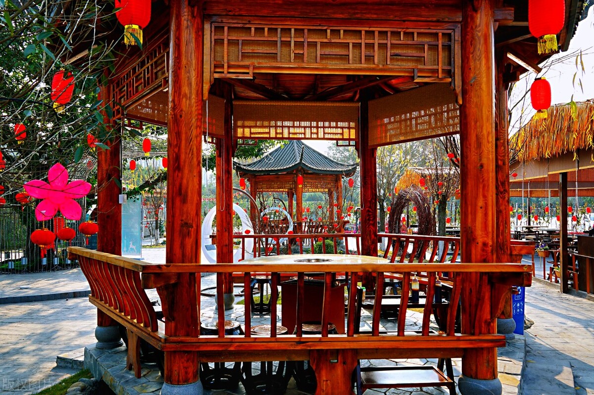 新时代致富攻略：创新好点子助力农民增收