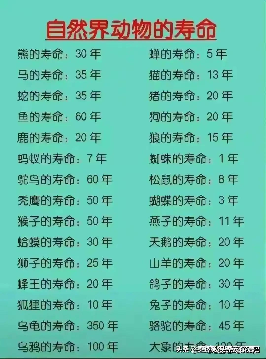 中国啤酒品牌排行榜,永红源啤酒和青岛啤酒哪个好喝