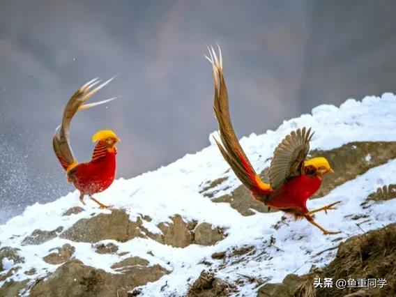 双春年不宜结婚,民间说法双春年不宜结婚