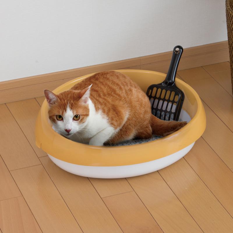 猫咪频繁进出猫砂盆，是尿闭吗？教你如何区分猫咪尿闭和便秘