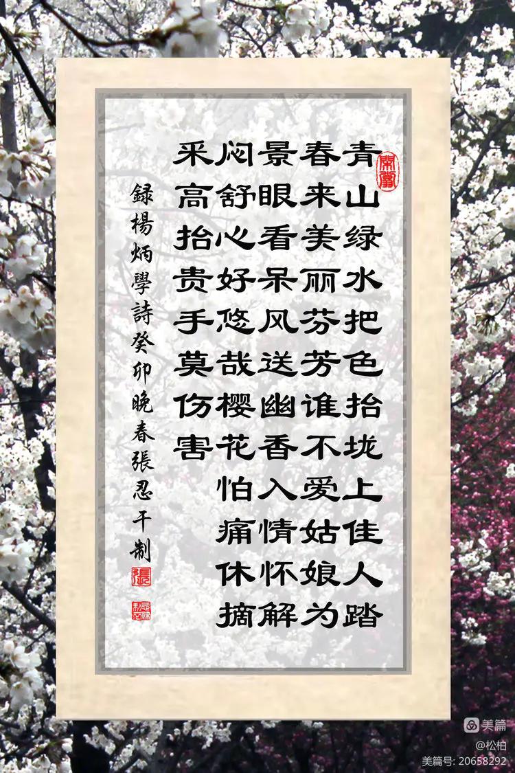 百花园（十六）樱蕾暗香溢