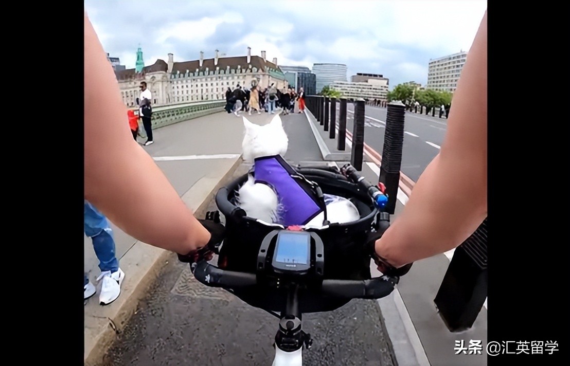 英国留学怎么买国内零食,英国留学怎么买摩托车