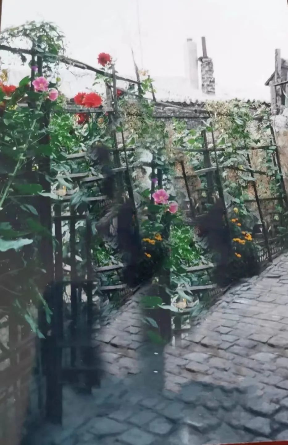 大同古城里有个鹌鹑巷，我记忆中的老邻居，你们如今在哪儿？