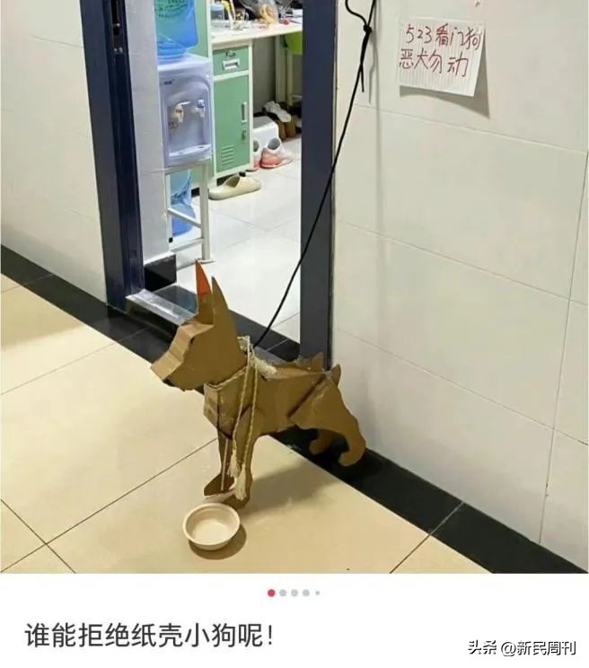 芒果核为啥要梳毛,给芒果核梳毛染发