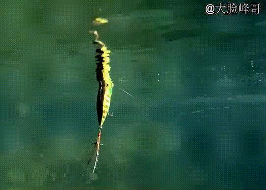 路亚小胖子假饵10g,路亚假饵亮片视频