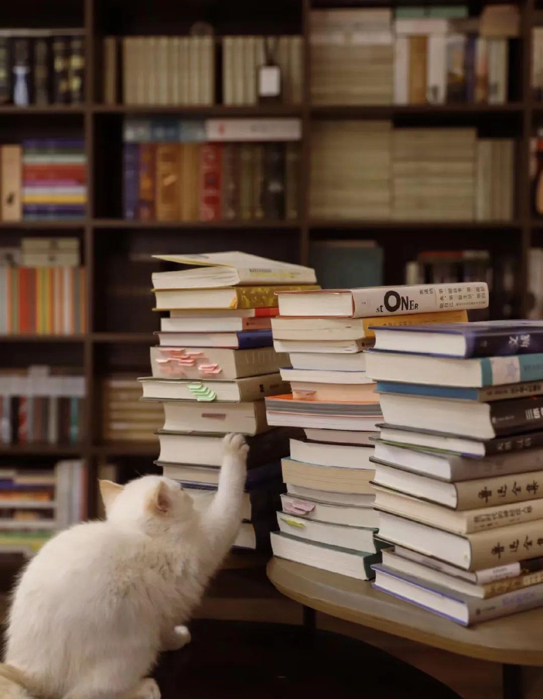 让自己最舒服的状态,最让自己舒服的6个社交方式