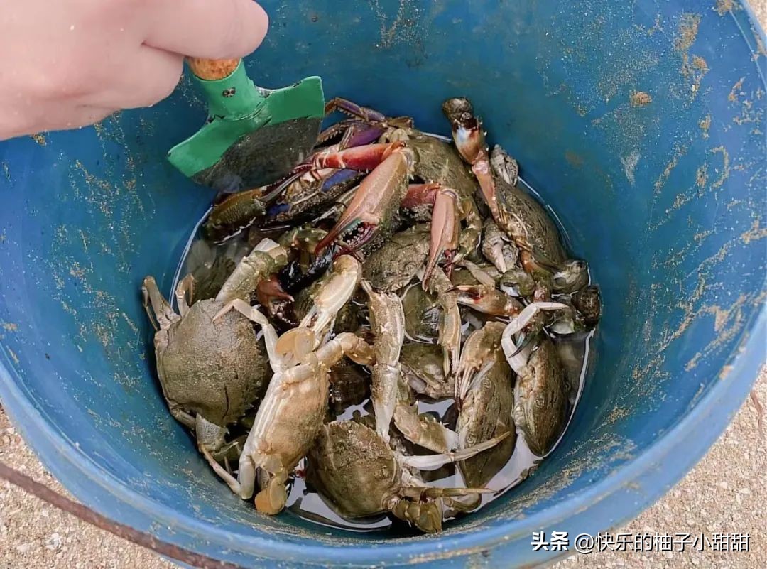 海边自助烧烤打卡地,海边烧烤自由行
