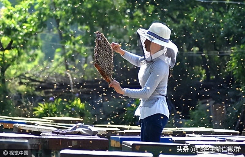 杨老说故事,杨老讲故事