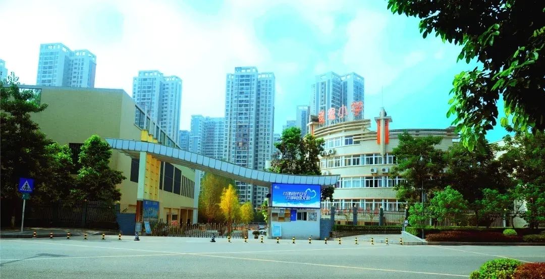 重庆合并区县规划2020,重庆集团化办学是什么意思