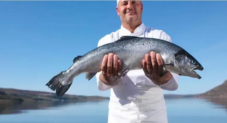 端午来临鱼肉涨价两万多股民却直呼真香