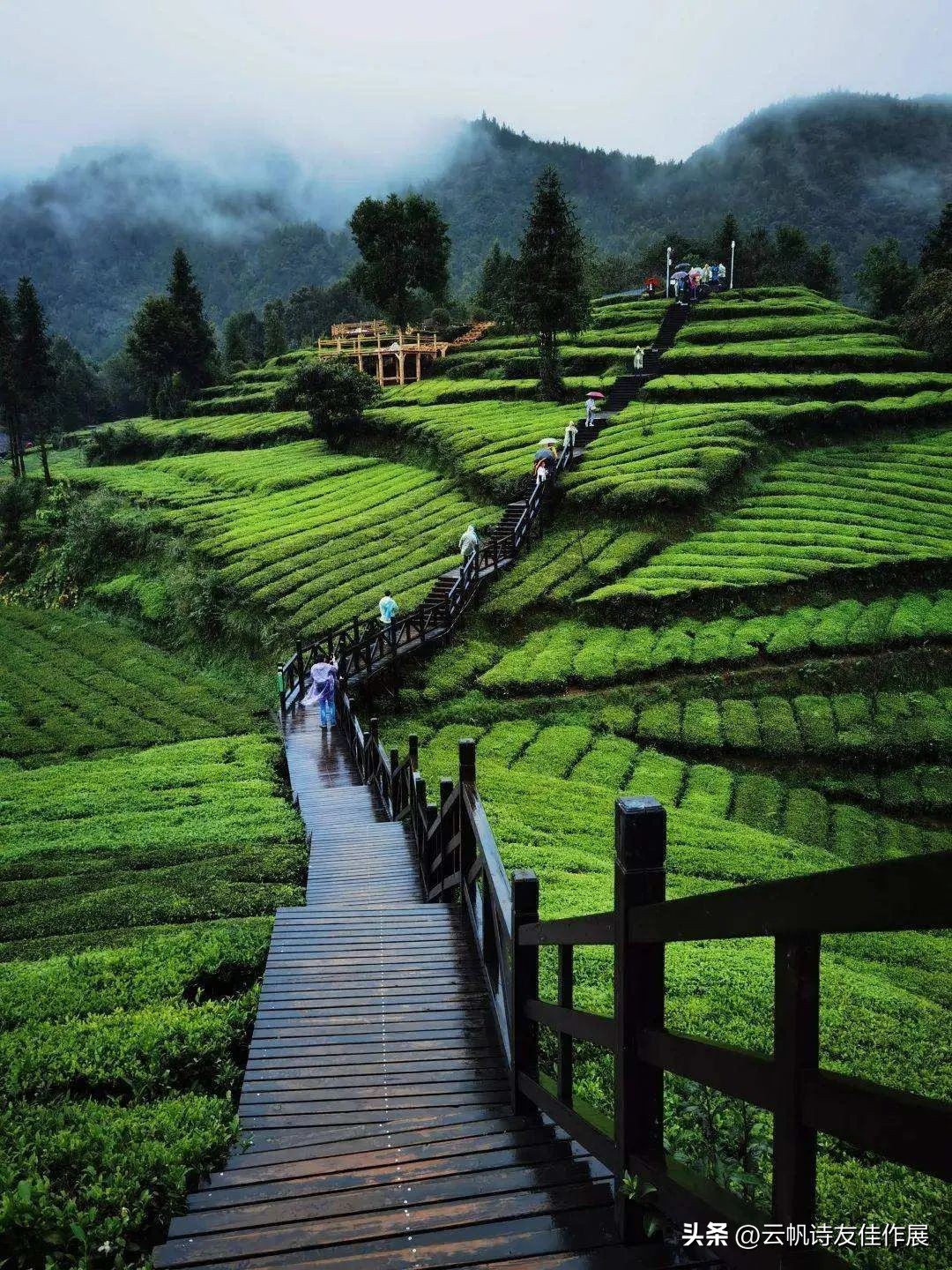 刘正中书法作品,刘正中的作品