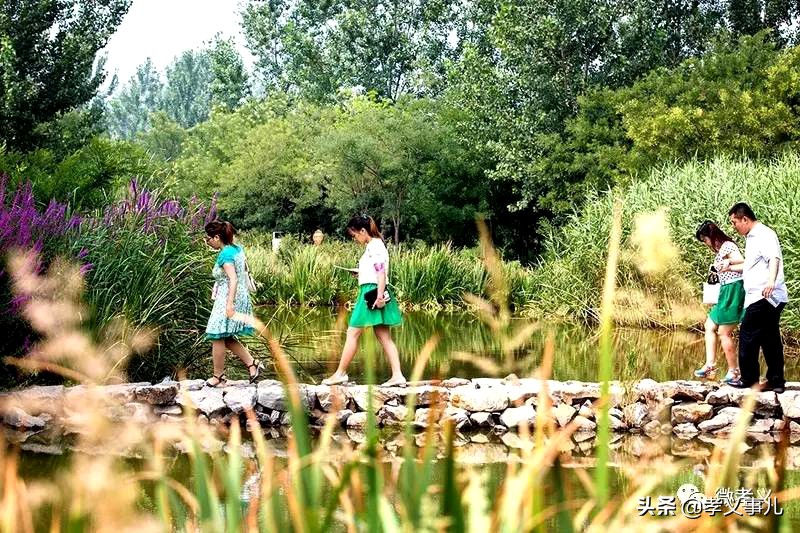 山西孝义：三伏天热成狗？孝义本地最全避暑指南来了，快快收藏