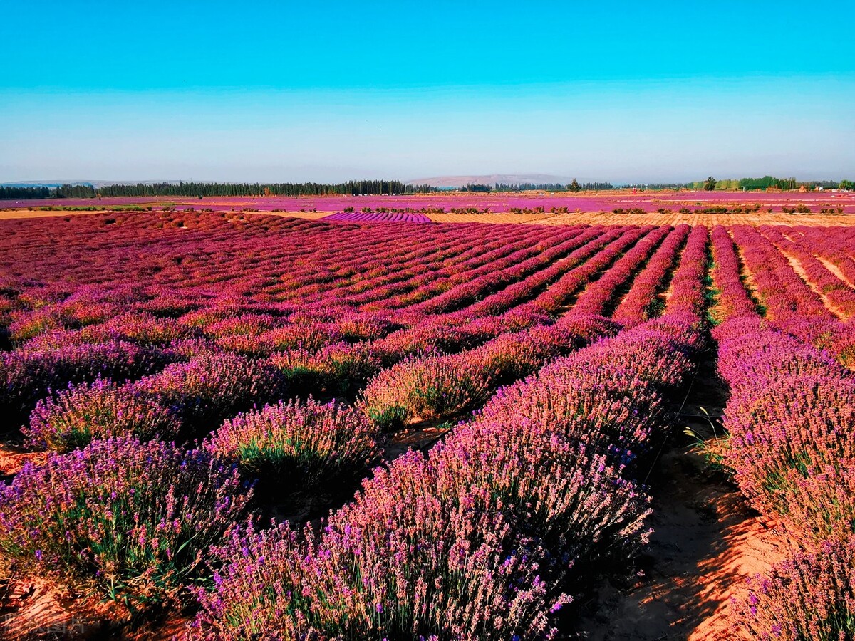 8月旅行的最佳去处,8月的旅行