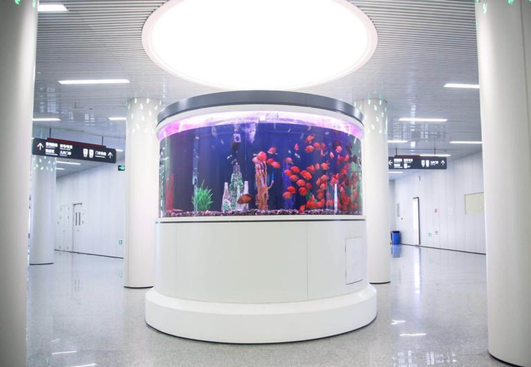 最美医院｜南京医科大学附属逸夫医院