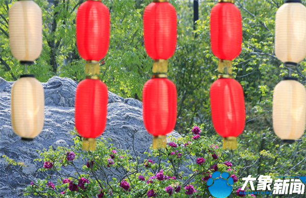 花开时节动京城最美不过洛阳城,四月洛阳美如画千年帝都是花城