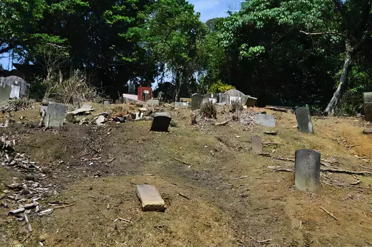 陕西挖出黄金视频,陕西农民挖出3公斤金子