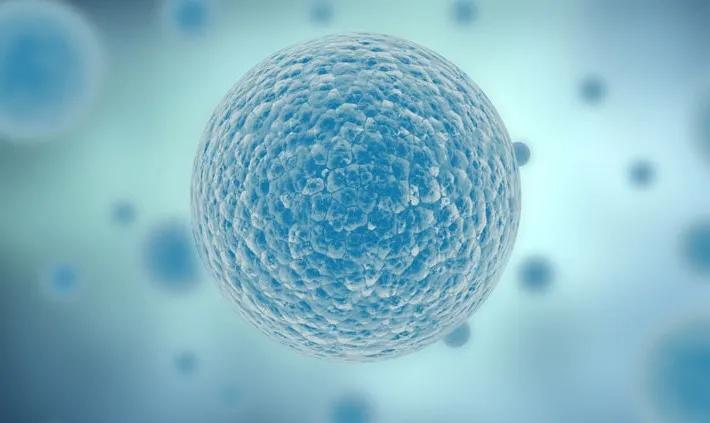 段子手王濛|拯救你的“老腰”！干细胞治疗腰部疾病效果显著