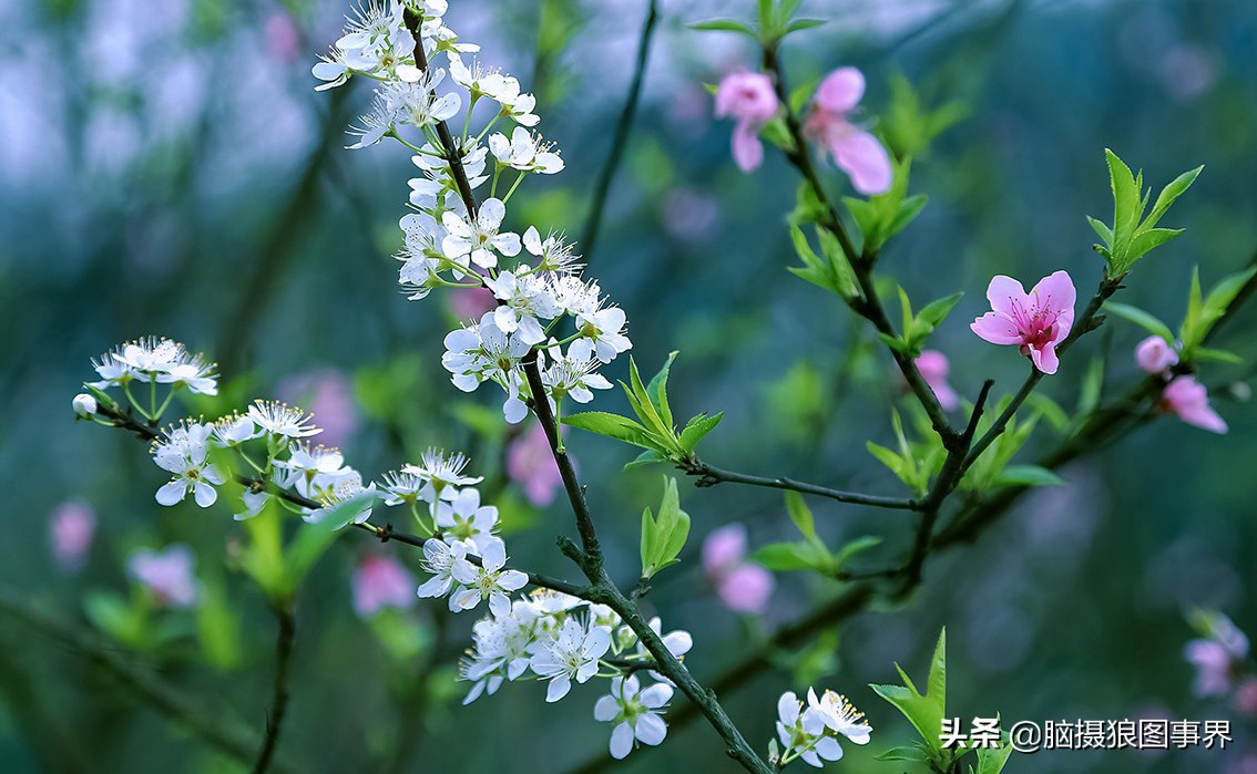 拍照如何确保对焦准确,拍照时对焦很难对上