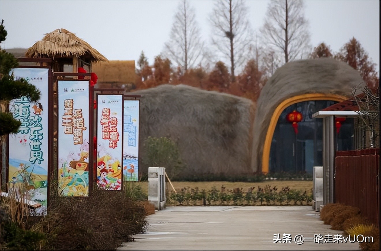 疫情之下旅游如何自救,疫情后时代旅游为何持续低迷