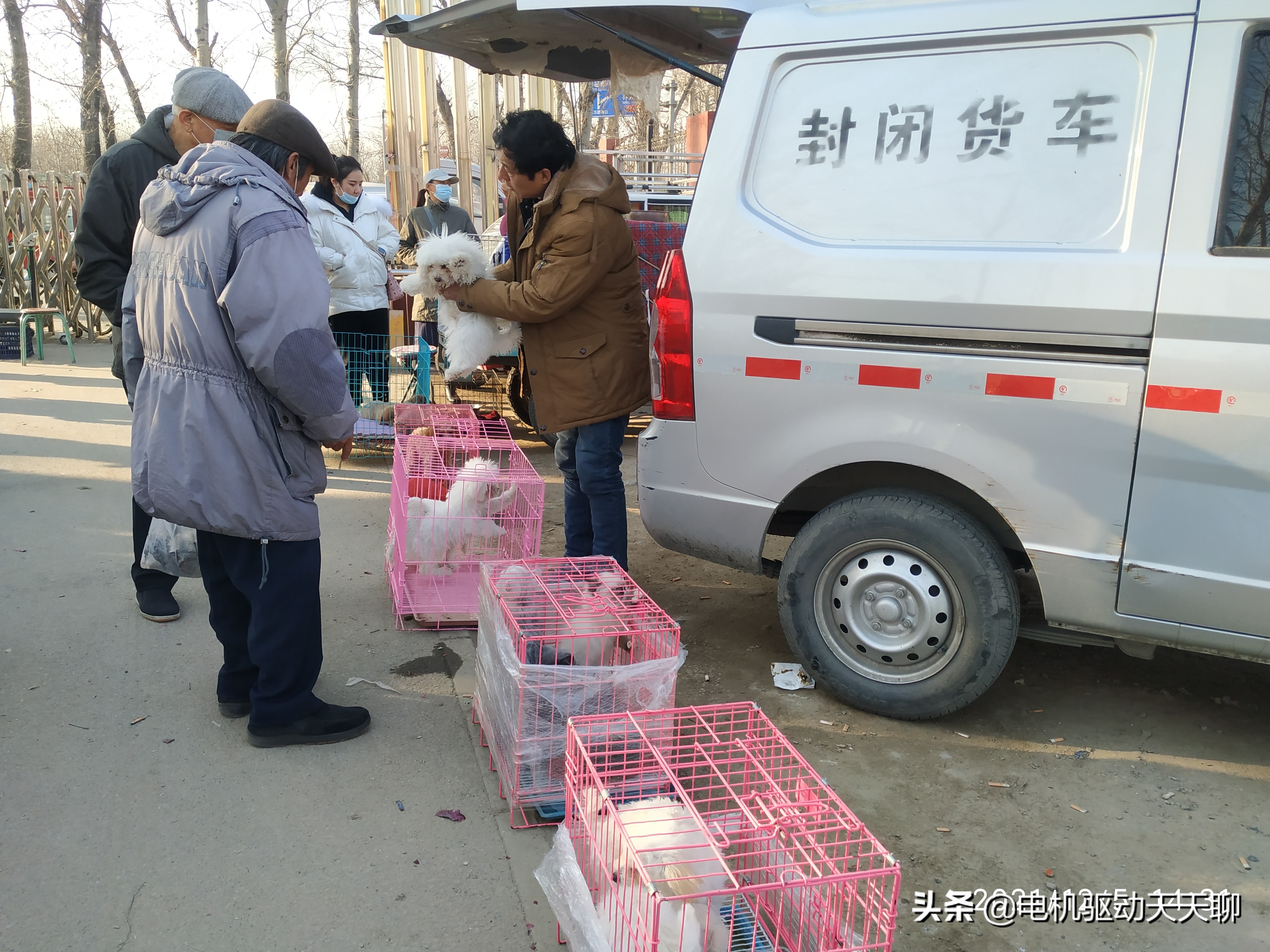 窦店田家园大集什么时间开放,房山窦店田家园大集现在开了吗