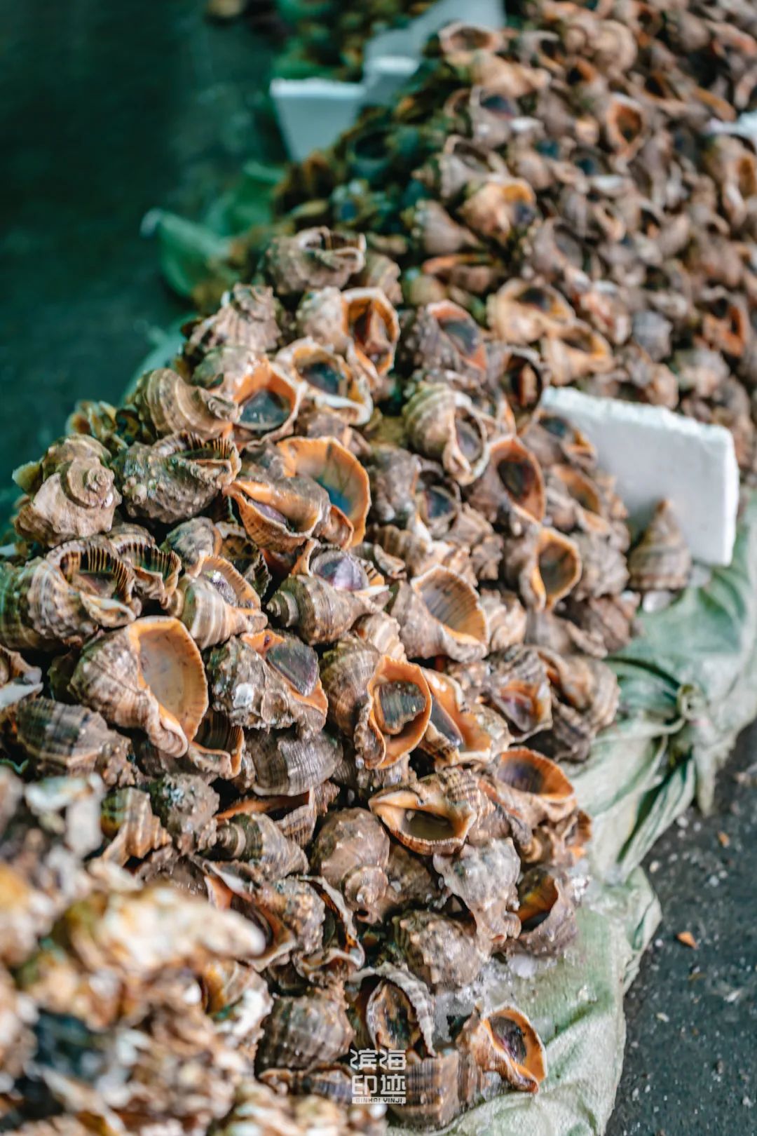 滨海新区海鲜,海鲜一条街滨海新区