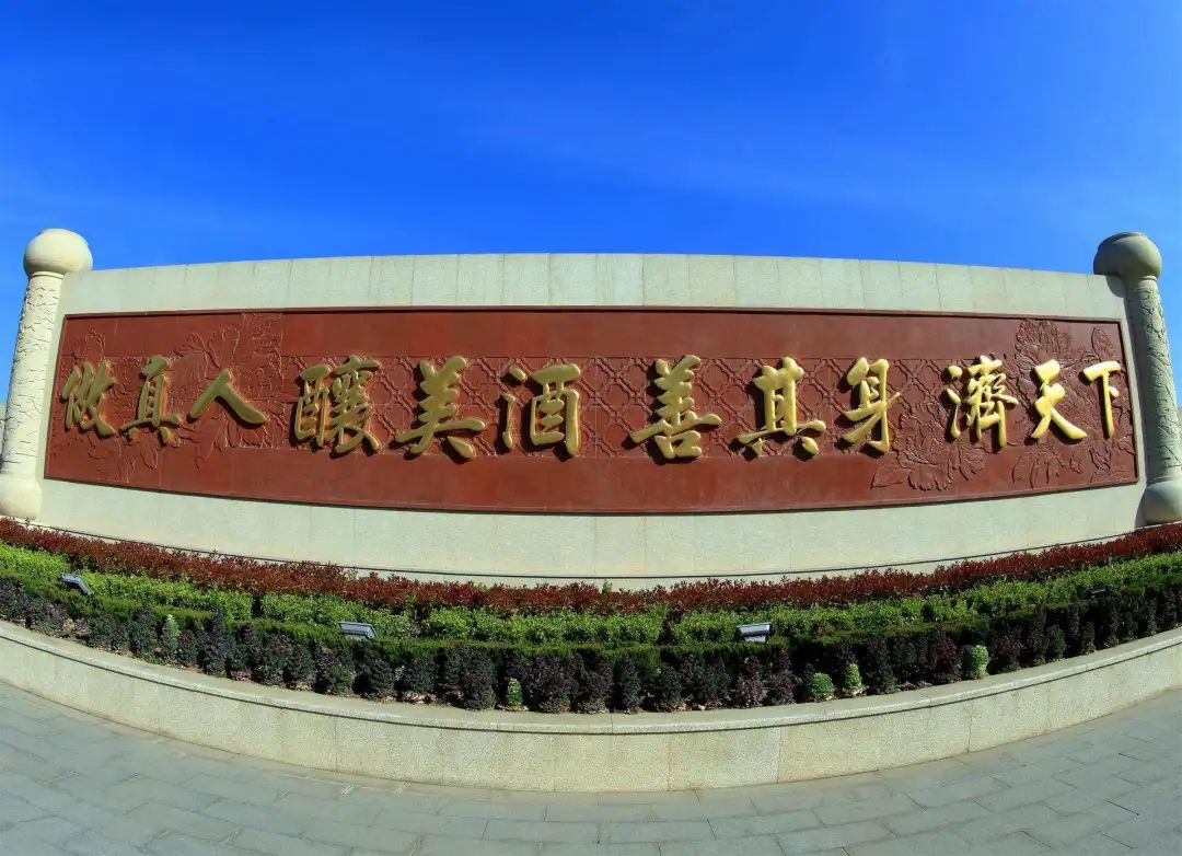 古井贡酒发展前景,古井贡酒前景