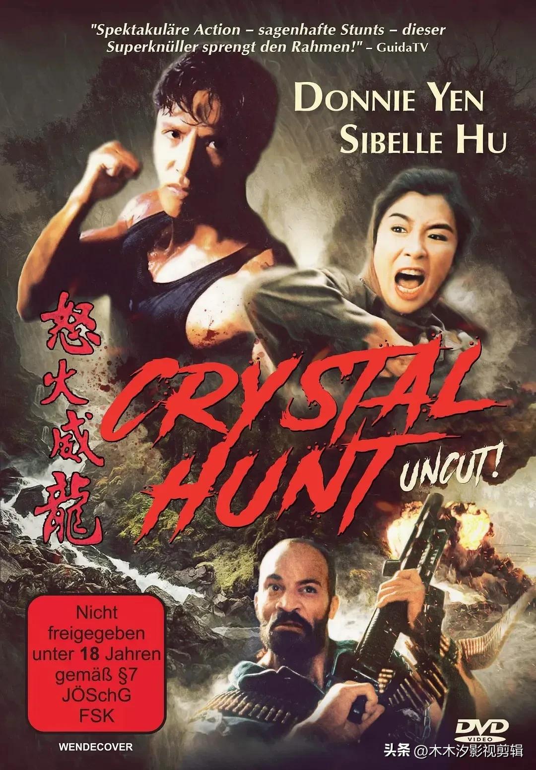 甄子丹经典动作电影全部免费观看,甄子丹经典功夫电影全集