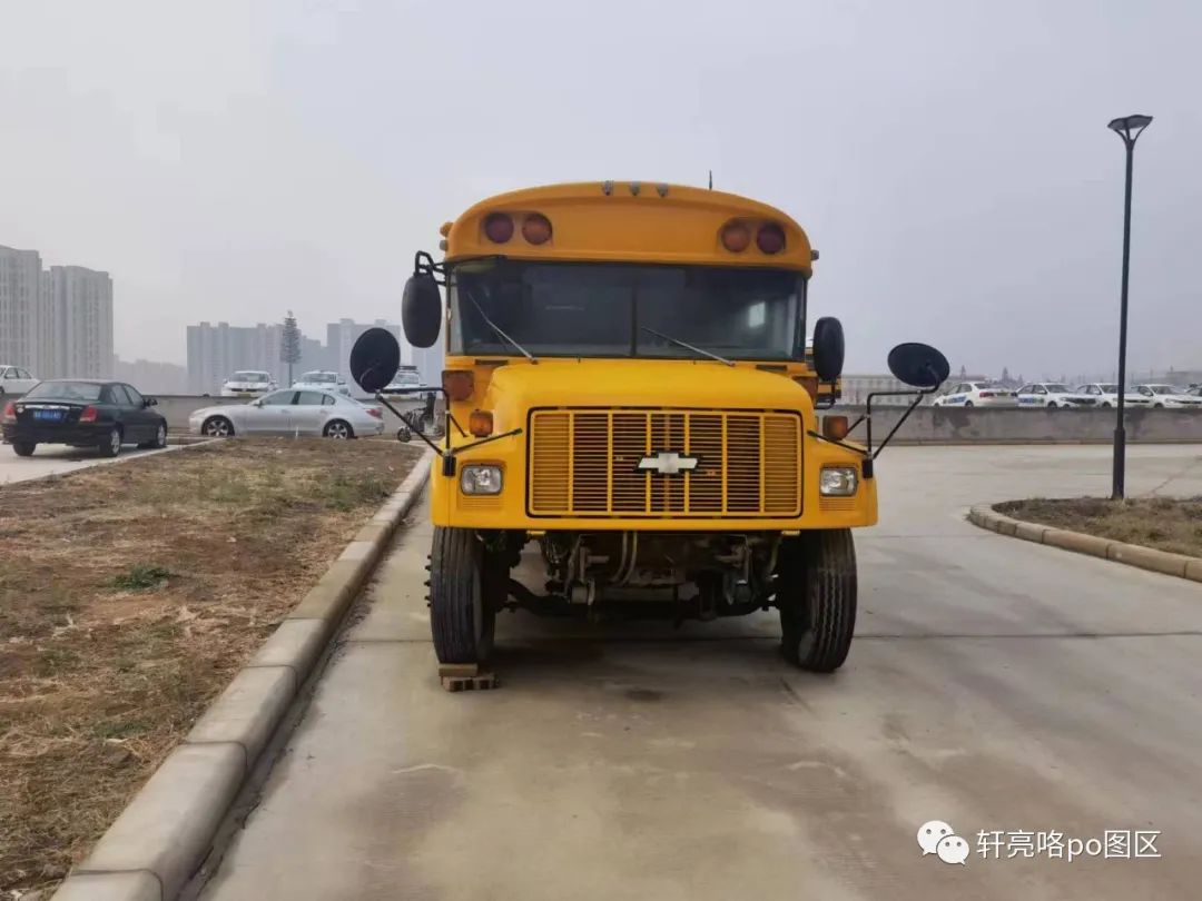 美国校巴真的好么