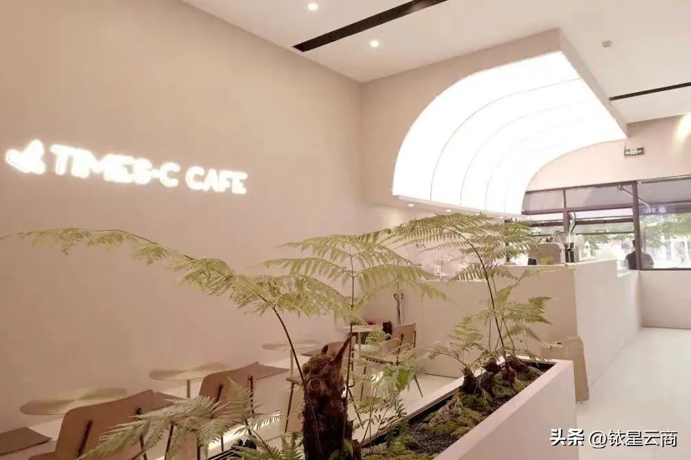 商场自营品牌再次走红购物中心，会开启疯狂吸金模式吗？