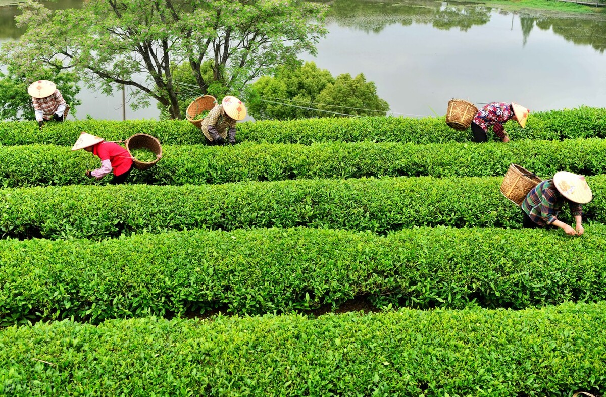 定位之主体（构造）客体