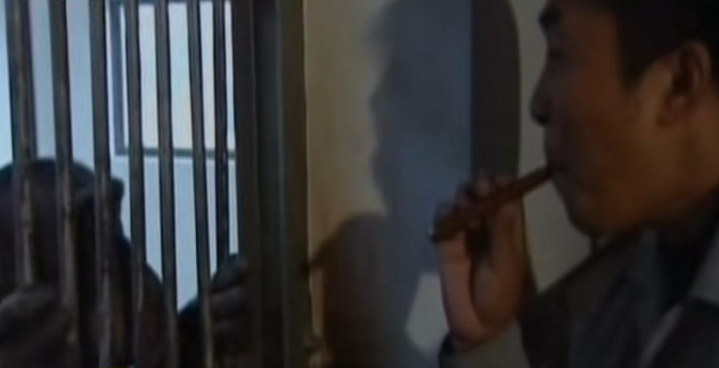 动物园的猩猩感染烟瘾,母猩猩染上烟瘾