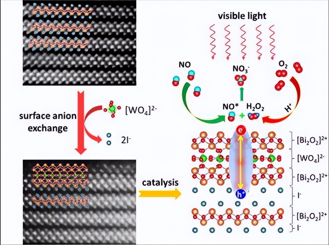 PW12/Bi2WO6制备及光催化性能的研究，其光催化性能有何特点？