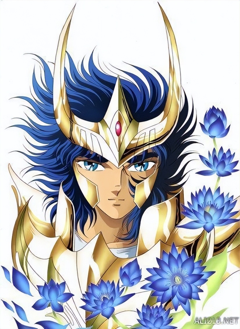 圣斗士星矢黄金圣衣图片,圣斗士星矢黄金圣斗士圣衣的图案