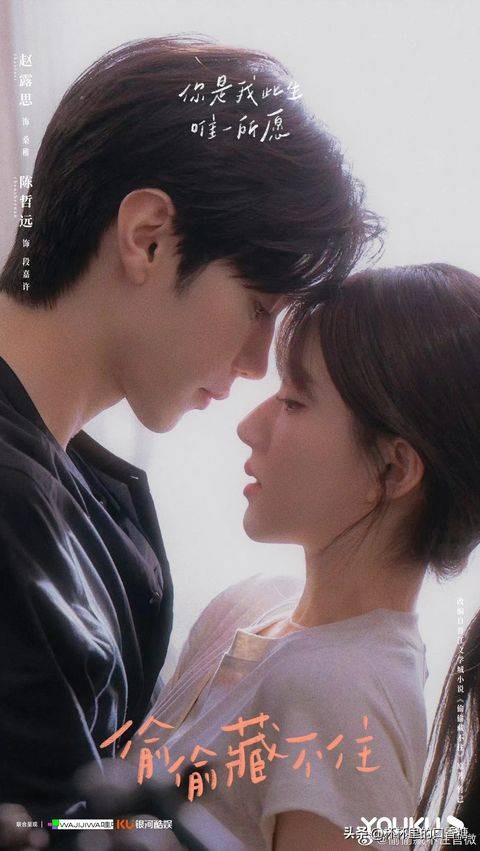 白鹿赵露思虞书欣王鹤棣吴磊,赵露思吴磊和王鹤棣白鹿