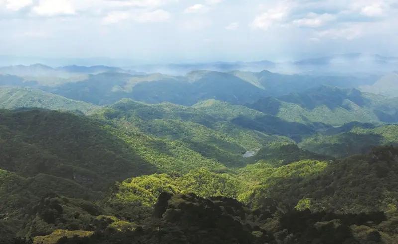 剧毒白头蝰蛇,国内发现的稀少的剧毒蛇