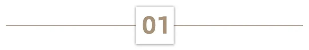 你一句春不晚，我就到了真江南|苏州商业考察推荐