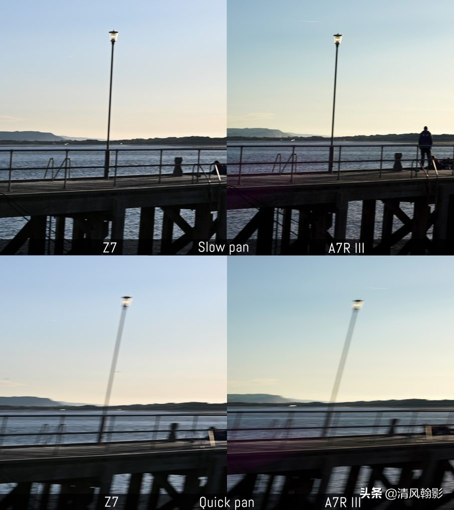 拍鸟用尼康d6好还是z7ii好,拍鸟买r6还是r5